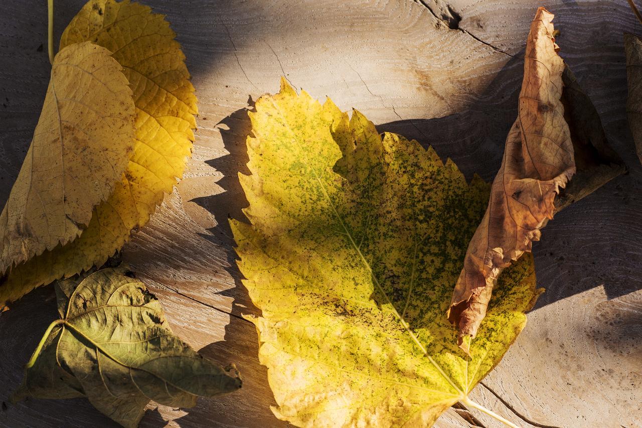 Chiarano Ca' Ciaran Bed & Breakfast エクステリア 写真