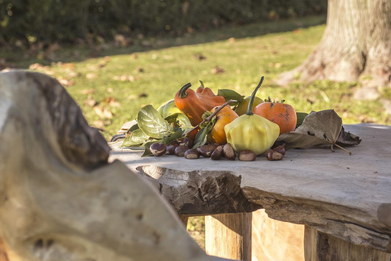 Chiarano Ca' Ciaran Bed & Breakfast エクステリア 写真