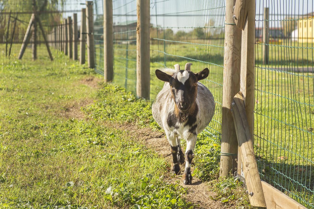 Chiarano Ca' Ciaran Bed & Breakfast エクステリア 写真