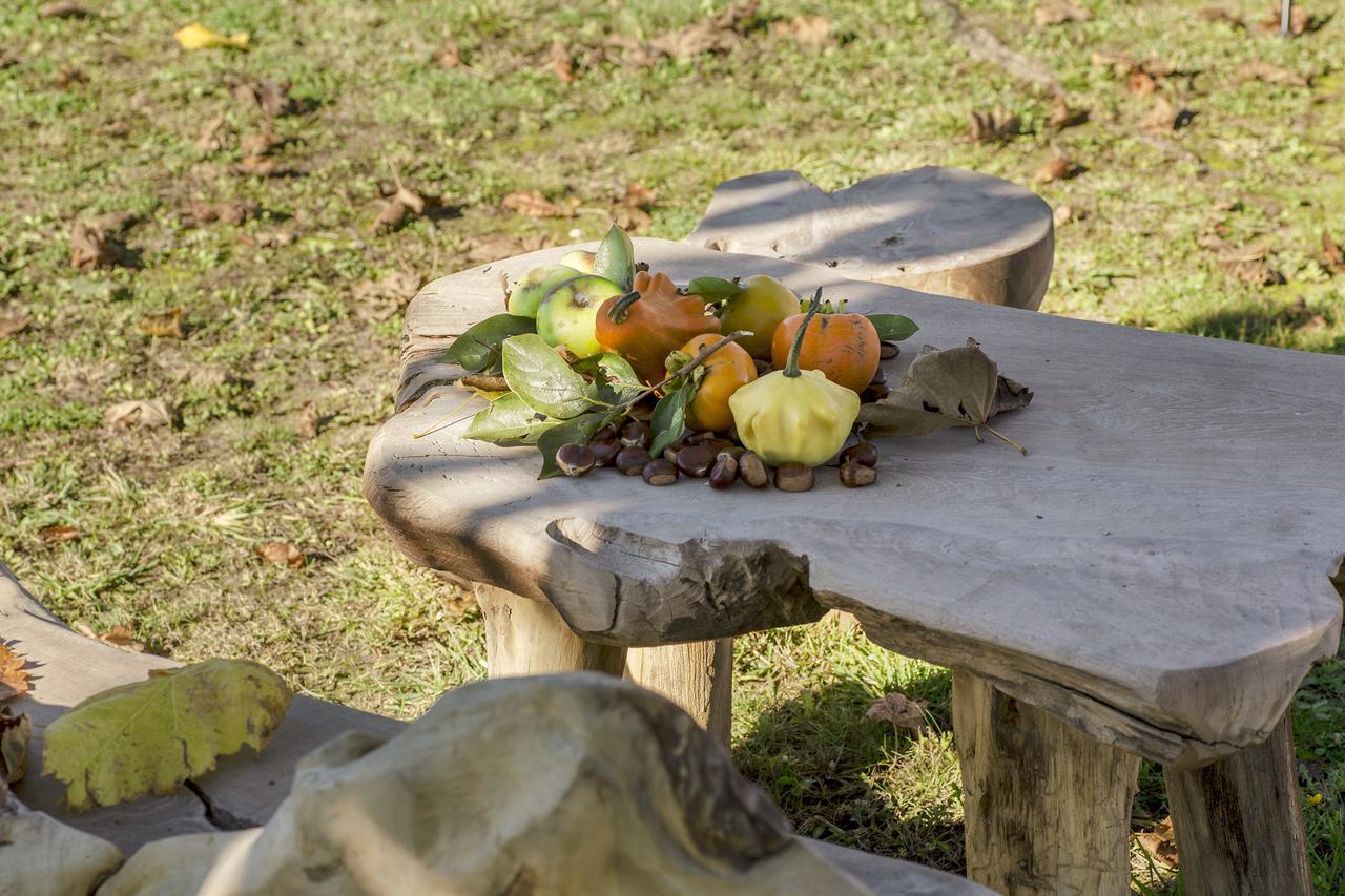Chiarano Ca' Ciaran Bed & Breakfast エクステリア 写真
