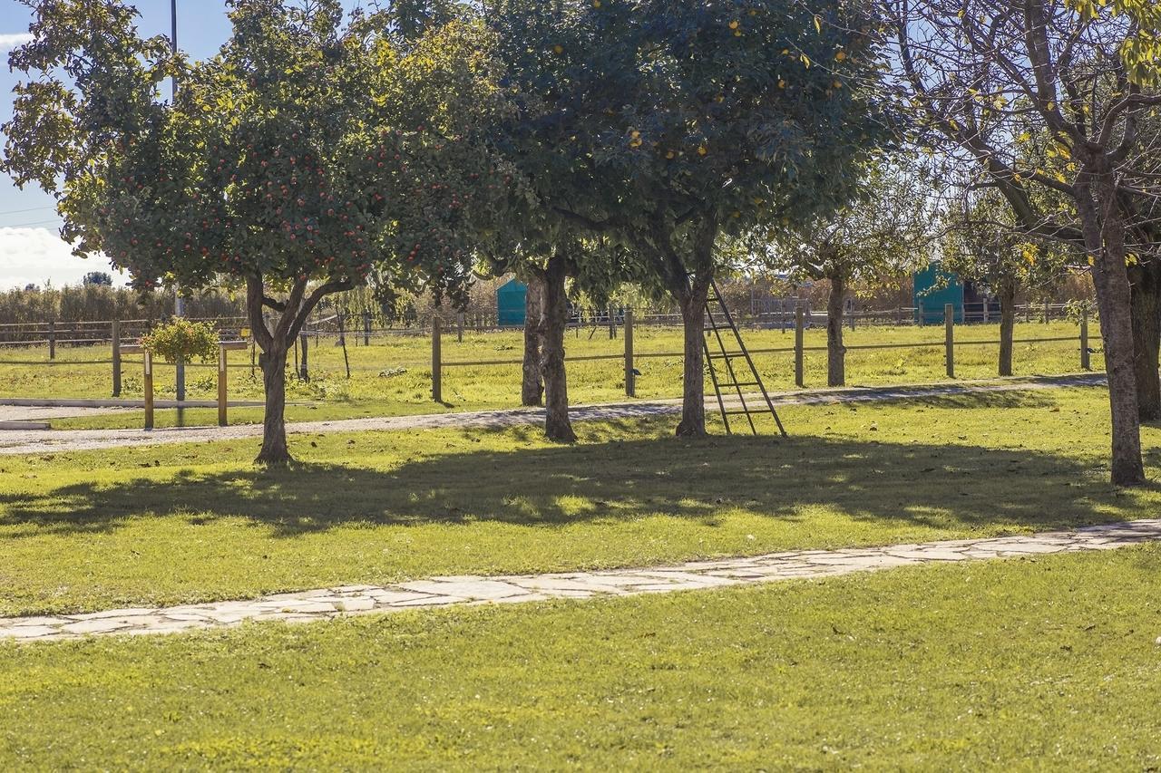 Chiarano Ca' Ciaran Bed & Breakfast エクステリア 写真