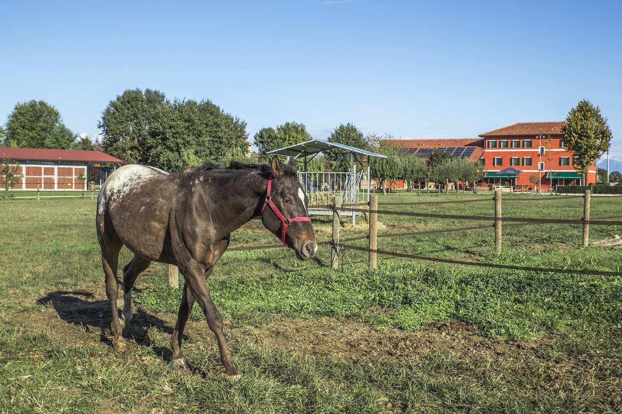 Chiarano Ca' Ciaran Bed & Breakfast エクステリア 写真