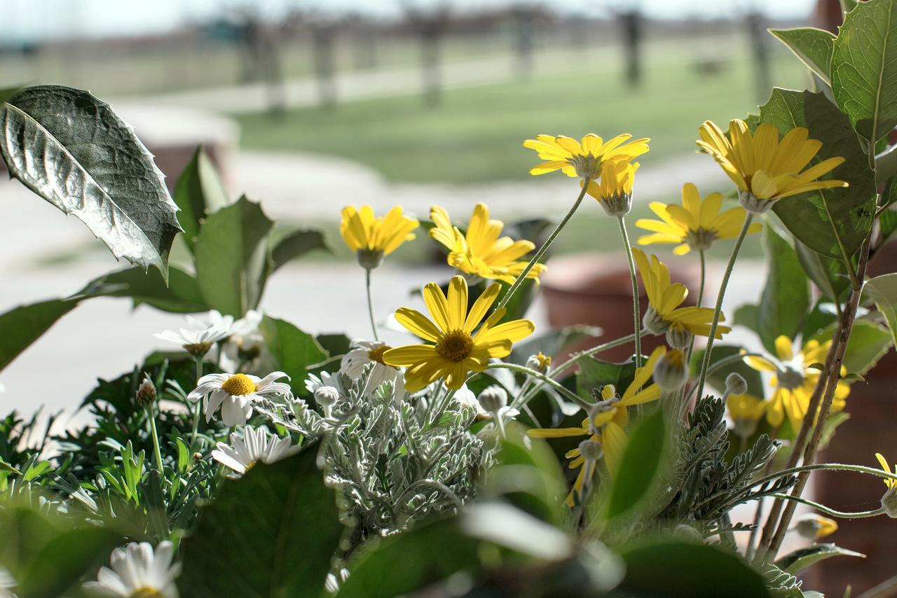 Chiarano Ca' Ciaran Bed & Breakfast エクステリア 写真