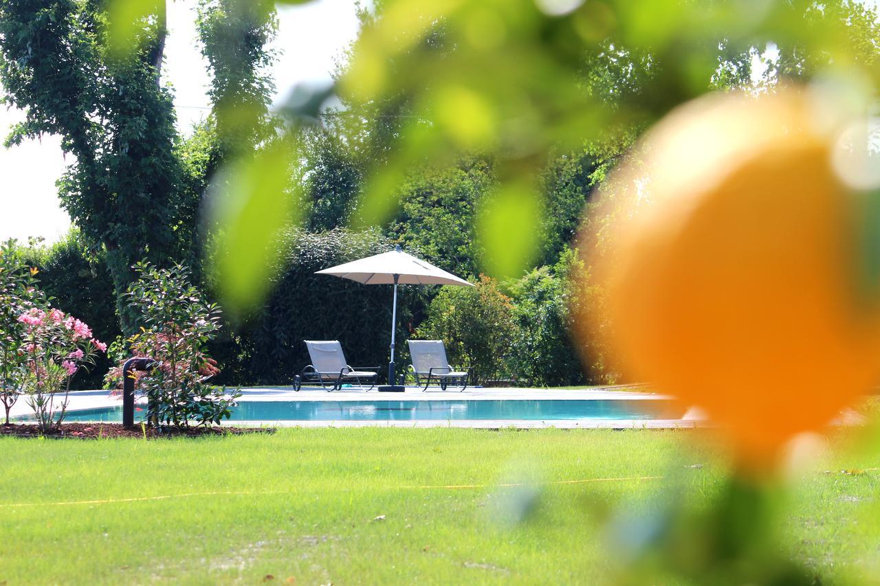 Chiarano Ca' Ciaran Bed & Breakfast エクステリア 写真