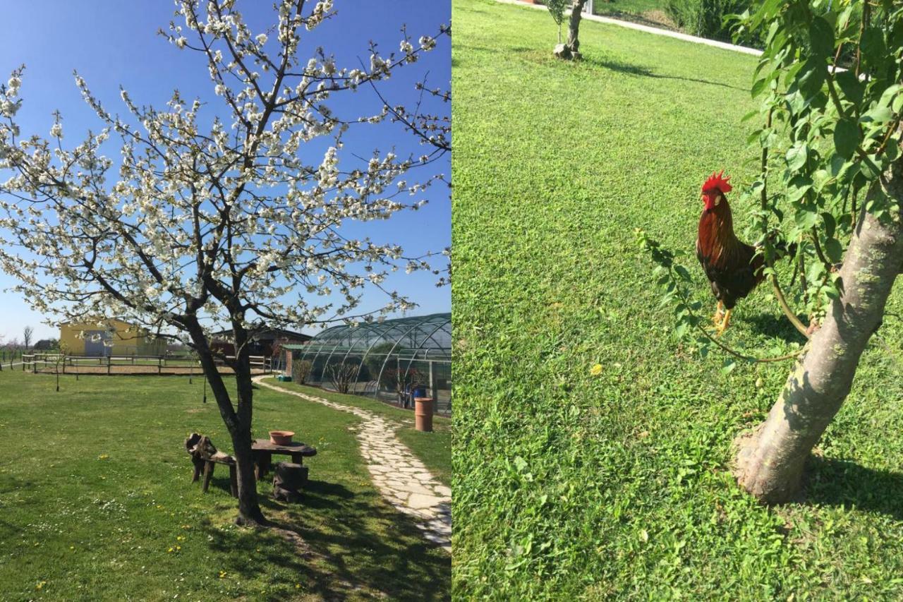 Chiarano Ca' Ciaran Bed & Breakfast エクステリア 写真